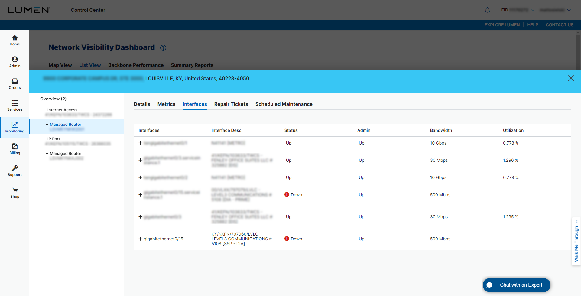 Network Visibility (showing the Interfaces tab for a managed router)